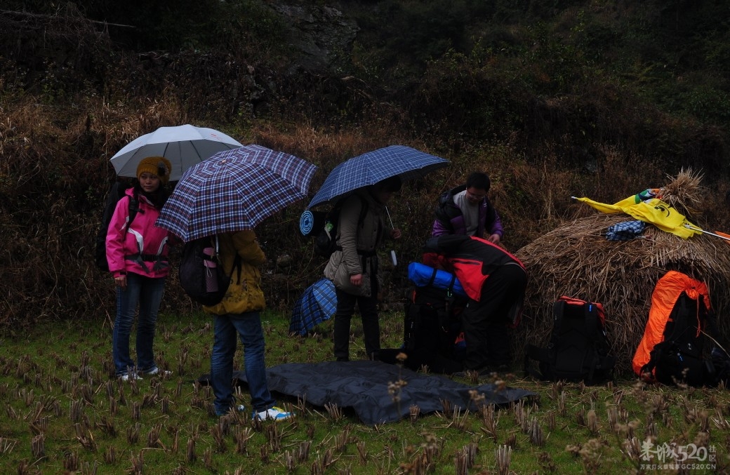桂林领航户外与恭城520社区驴友露营石口村993 / 作者:小紫 / 帖子ID:9188