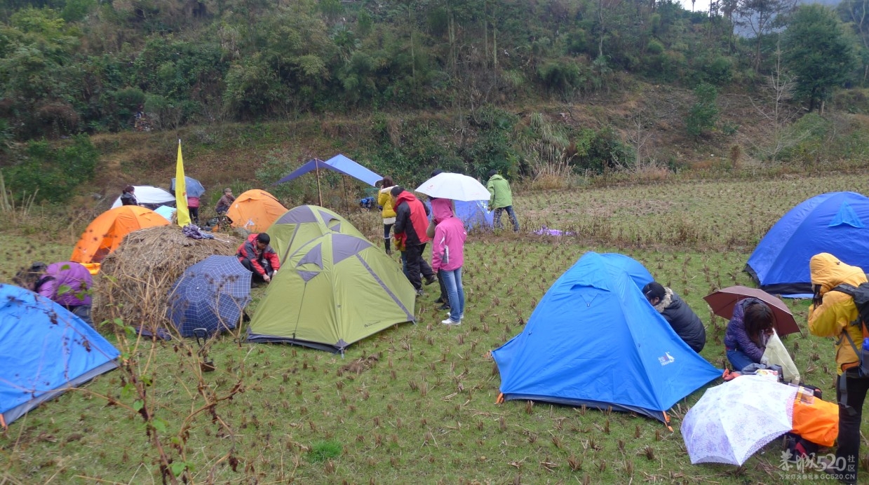 桂林领航户外与恭城520社区驴友露营石口村902 / 作者:小紫 / 帖子ID:9188
