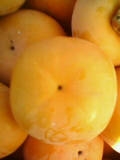 美图492 / 作者:758779802 / 帖子ID:9205