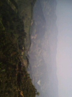 美图894 / 作者:758779802 / 帖子ID:9205