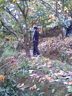 美图323 / 作者:758779802 / 帖子ID:9205