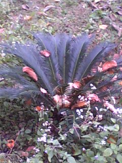 美图439 / 作者:758779802 / 帖子ID:9205