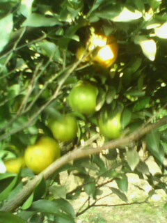 美图759 / 作者:758779802 / 帖子ID:9205