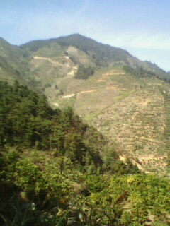 美图835 / 作者:758779802 / 帖子ID:9205