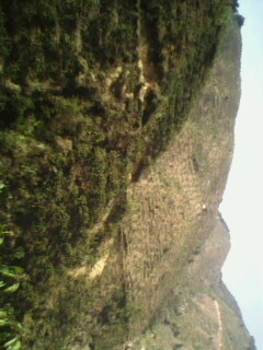 美图787 / 作者:758779802 / 帖子ID:9205