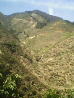 美图977 / 作者:758779802 / 帖子ID:9205