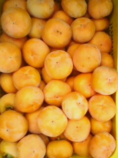 美图79 / 作者:758779802 / 帖子ID:9205