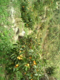 美图671 / 作者:758779802 / 帖子ID:9205