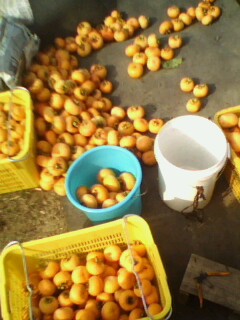 美图490 / 作者:758779802 / 帖子ID:9205