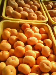 美图693 / 作者:758779802 / 帖子ID:9205