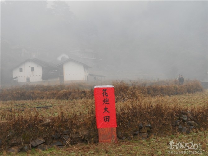 2012龙年石口花炮节掠影924 / 作者:麒麟玉 / 帖子ID:9214