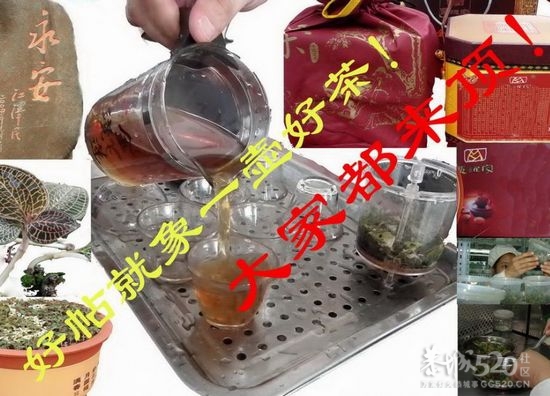 2012年石口花炮节高清片片（60P+1视频）544 / 作者:平安大叔 / 帖子ID:9219