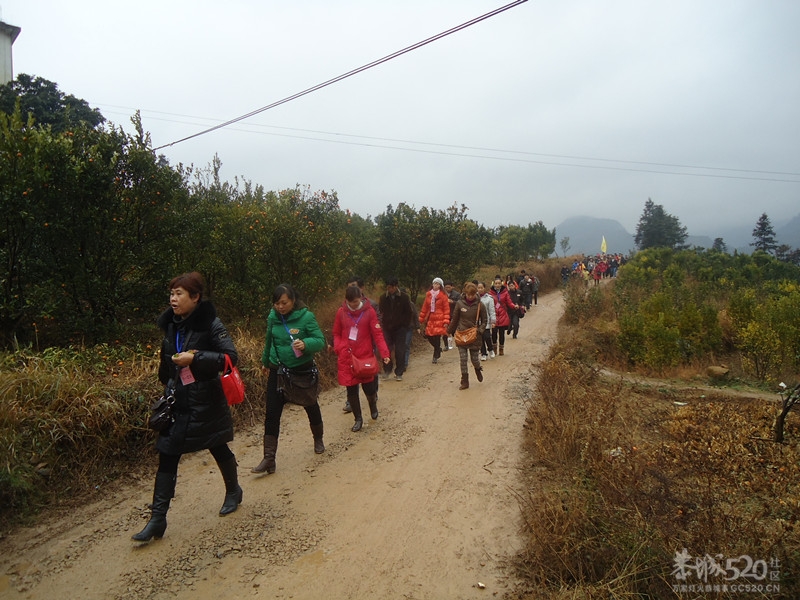 花炮节，我来发一贴！482 / 作者:嬋影 / 帖子ID:9285
