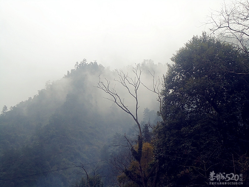 花炮节，我来发一贴！319 / 作者:嬋影 / 帖子ID:9285