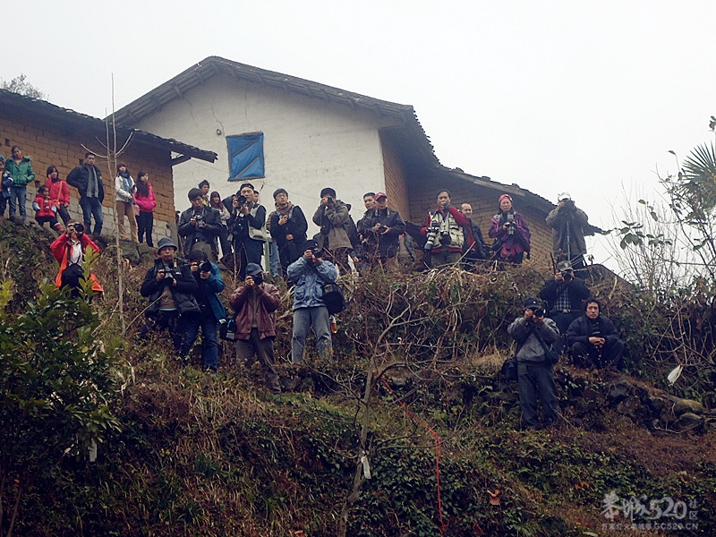 花炮节，我来发一贴！761 / 作者:嬋影 / 帖子ID:9285