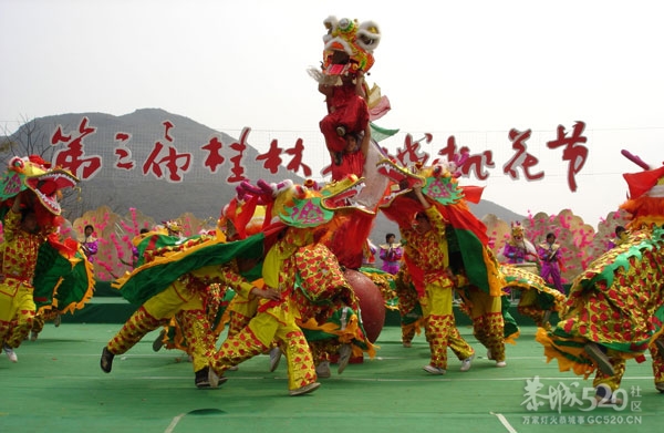 2005第三届桃花节 千名瑶妹聚瑶乡847 / 作者:火星娃崽 / 帖子ID:9501