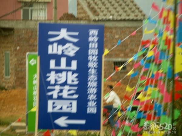 恭城桃花节探路226 / 作者:翠峰紫阳 / 帖子ID:9516