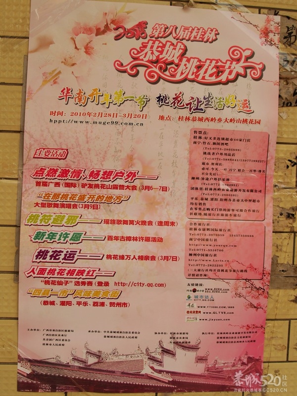 恭城桃花节探路442 / 作者:翠峰紫阳 / 帖子ID:9516