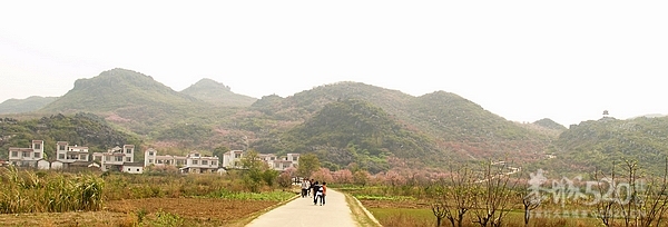 恭城桃花节探路127 / 作者:翠峰紫阳 / 帖子ID:9516