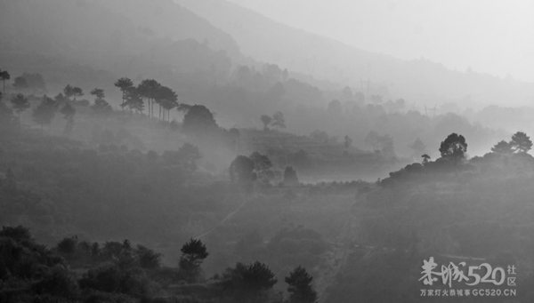 连日阴雨752 / 作者:习惯有你 / 帖子ID:9800