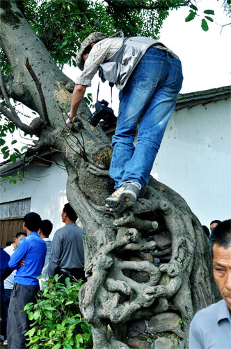 非常值得期待的“杨溪大型民俗活动”72 / 作者:名堂 / 帖子ID:9837