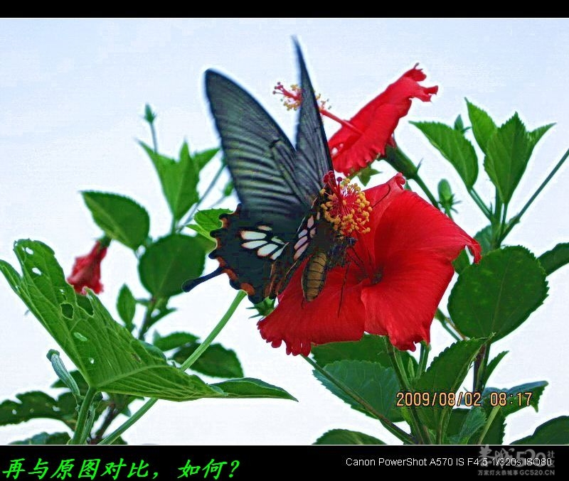 用ACDSee2.0将普通照片整容929 / 作者:平安大叔 / 帖子ID:9858