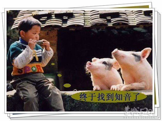 月亮山2012年2月12日376 / 作者:我不懂你 / 帖子ID:9749