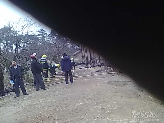 加会粮所又起大火61 / 作者:根本不服 / 帖子ID:10100