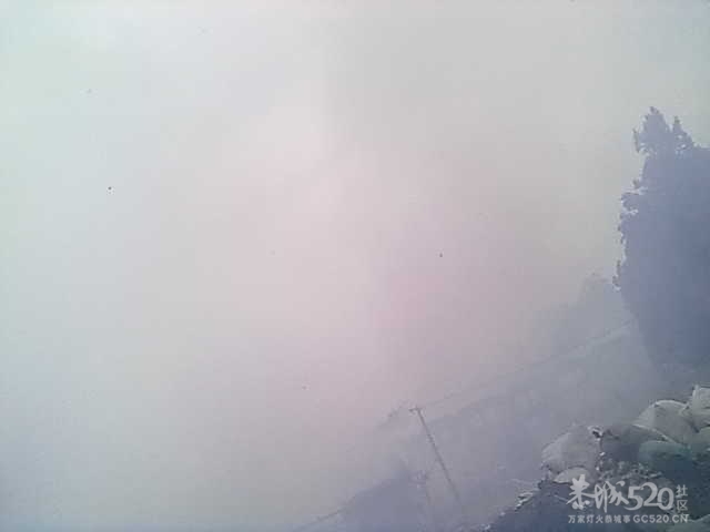 加会粮所又起大火991 / 作者:根本不服 / 帖子ID:10100