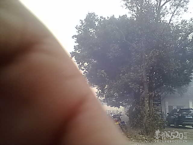 加会粮所又起大火936 / 作者:根本不服 / 帖子ID:10100
