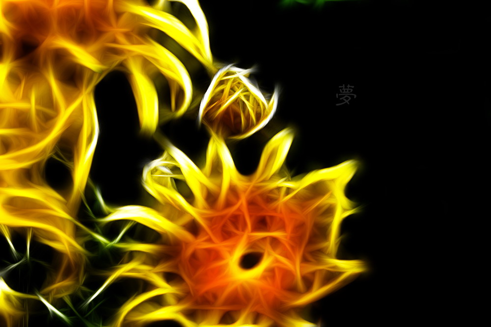 别样花意。558 / 作者:講不醜 / 帖子ID:10135