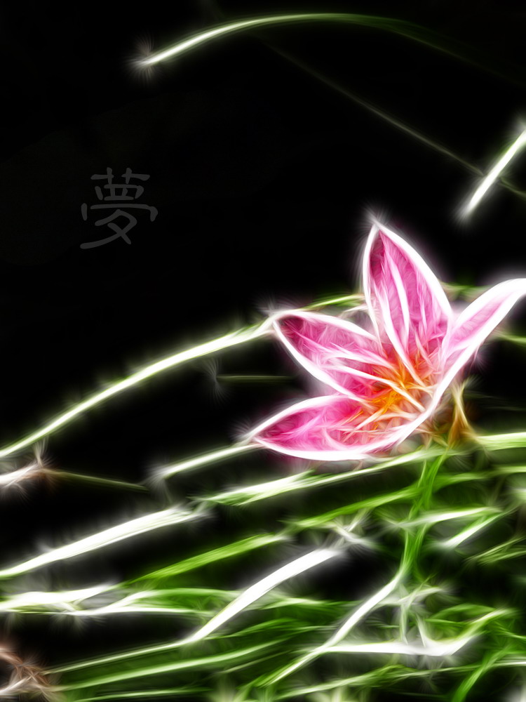 别样花意。709 / 作者:講不醜 / 帖子ID:10135