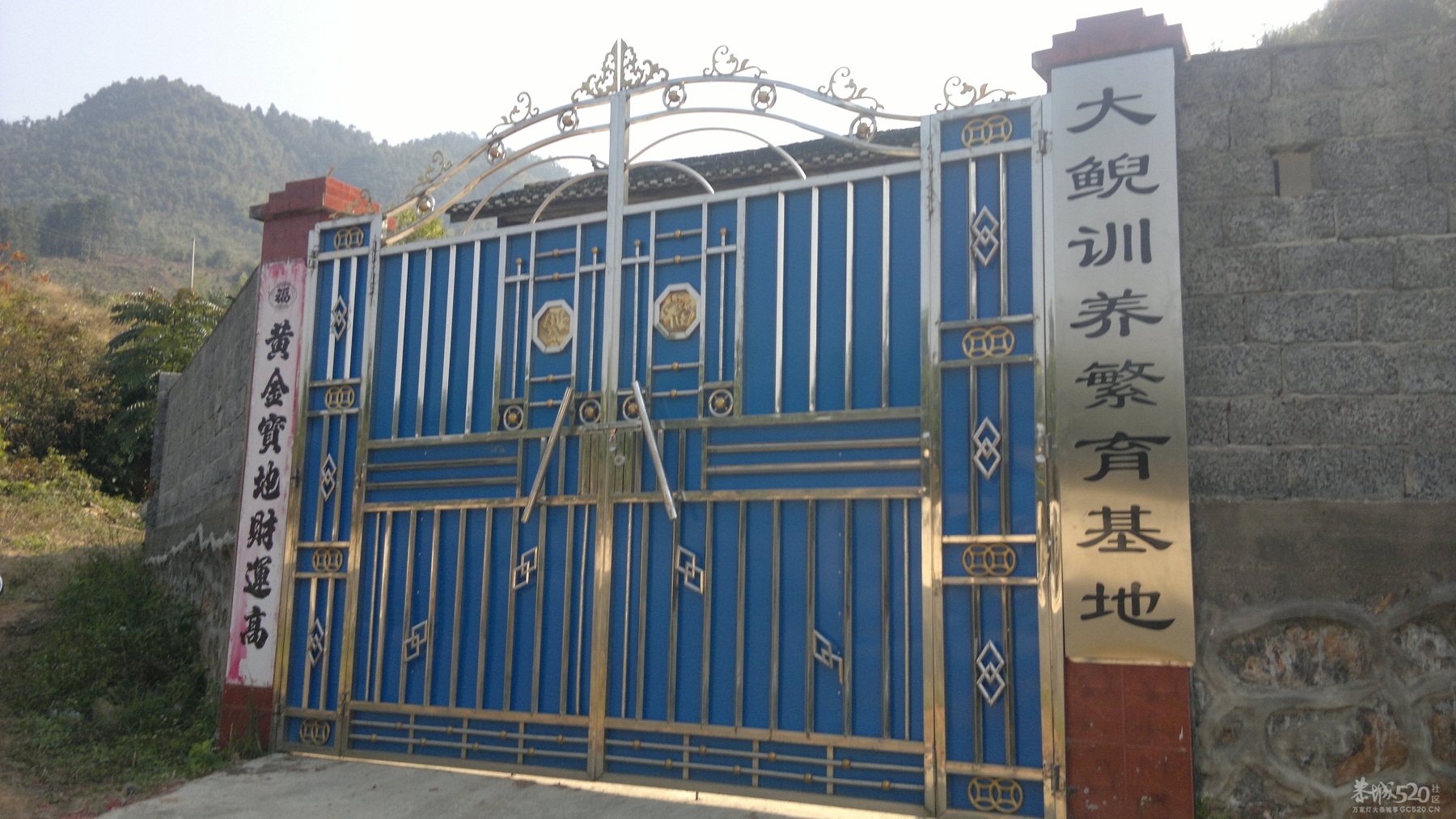 恭城三江古木源大鲵（娃娃鱼）驯养繁殖基地752 / 作者:雨楼 / 帖子ID:10508