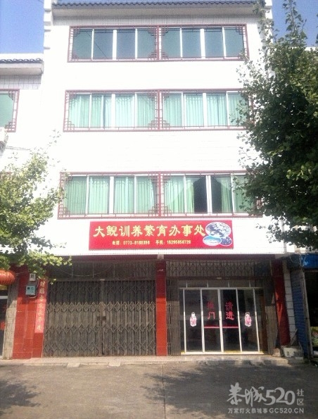 恭城三江古木源大鲵（娃娃鱼）驯养繁殖基地512 / 作者:雨楼 / 帖子ID:10508