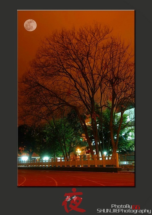 【PhotoBy·GG】 恭中 · 夜468 / 作者:小兔子 / 帖子ID:10547