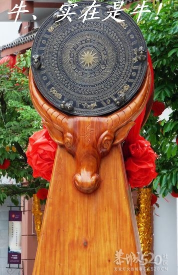 轻伤不下火线！这哥们真敬业啊！！！445 / 作者:平安大叔 / 帖子ID:10601