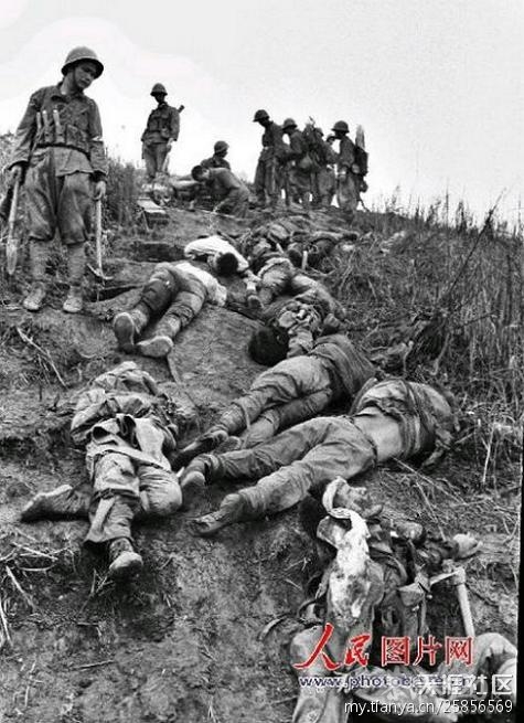 520社区有参加过越战的老兵不？345 / 作者:完美夏天 / 帖子ID:10749