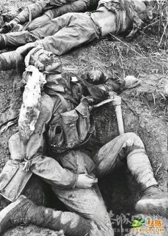 520社区有参加过越战的老兵不？60 / 作者:完美夏天 / 帖子ID:10749