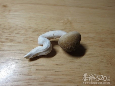这是一个痛经的蘑菇。。。。243 / 作者:请叫我宅男先生 / 帖子ID:11027