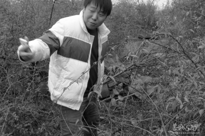 桃花节徒步探路790 / 作者:纯洁的小死神 / 帖子ID:10943