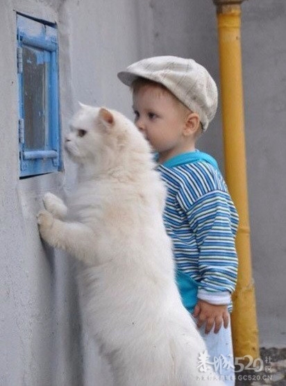 “大哥！你真的要对这家店的小鱼干下手吗？”~~“对！肿么，难道你有意见”913 / 作者:请叫我宅男先生 / 帖子ID:11042