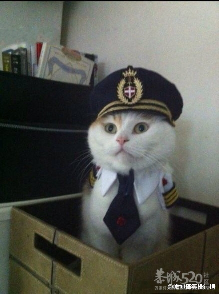 制服诱惑 ！ 很像猫头鹰。。233 / 作者:请叫我宅男先生 / 帖子ID:11046