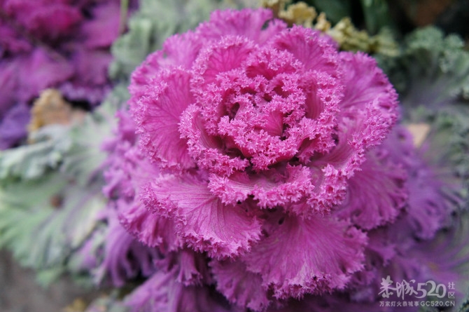 姑娘，过了这个村可就没有这个店小二啦~~779 / 作者:熊熊MM / 帖子ID:11107