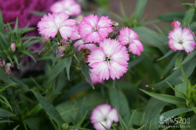 姑娘，过了这个村可就没有这个店小二啦~~949 / 作者:熊熊MM / 帖子ID:11107