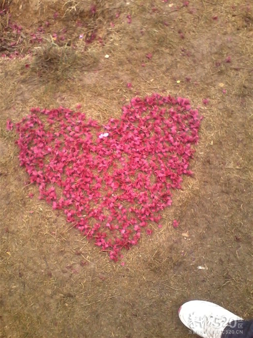 姑娘，过了这个村可就没有这个店小二啦~~605 / 作者:熊熊MM / 帖子ID:11107