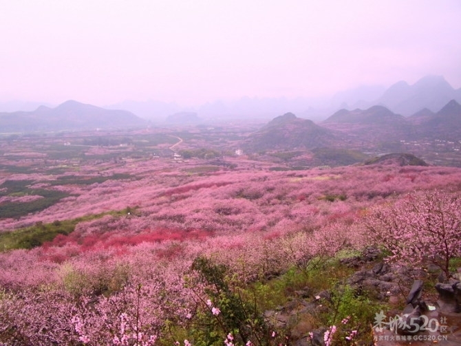 姑娘，过了这个村可就没有这个店小二啦~~764 / 作者:熊熊MM / 帖子ID:11107