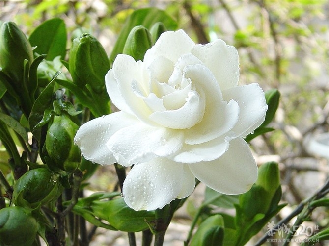 姑娘，过了这个村可就没有这个店小二啦~~794 / 作者:熊熊MM / 帖子ID:11107