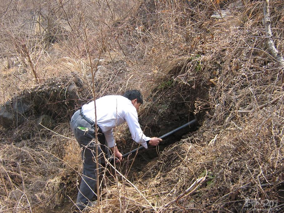 挖淮山141 / 作者:千里之外 / 帖子ID:11164