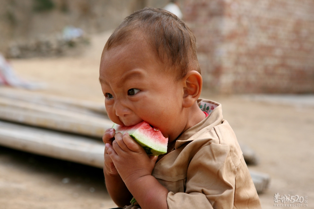 吃西瓜要这么个吃法357 / 作者:小勇 / 帖子ID:11274