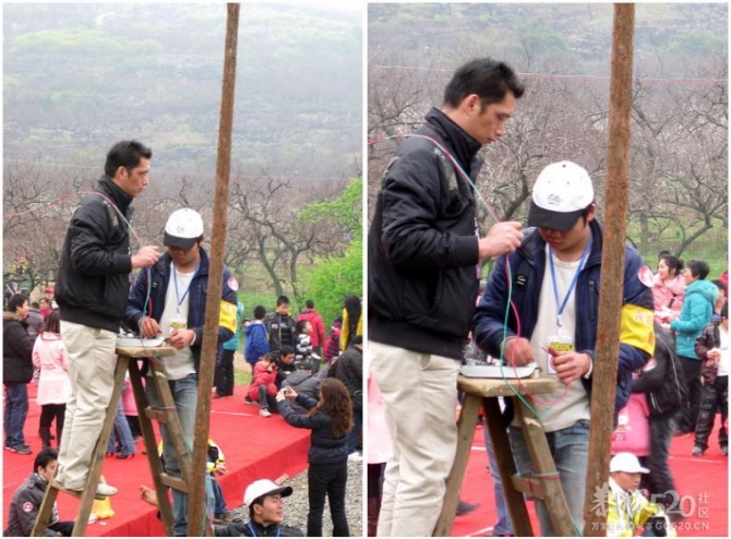 又是一年桃花节，忽然想起他们575 / 作者:黄子 / 帖子ID:11291